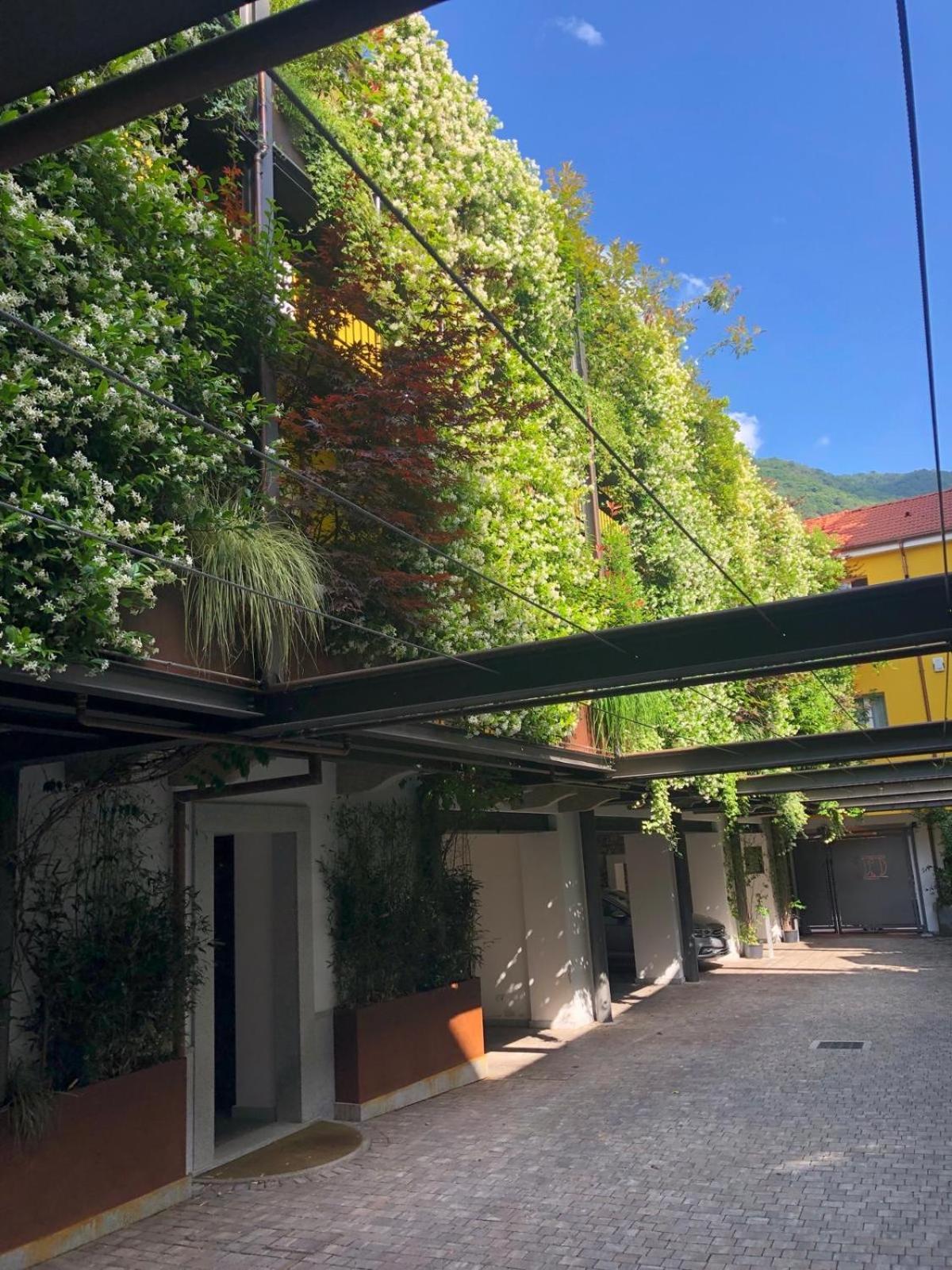 Residence Casa Coppa Appartamento Aster โอเมญา ภายนอก รูปภาพ