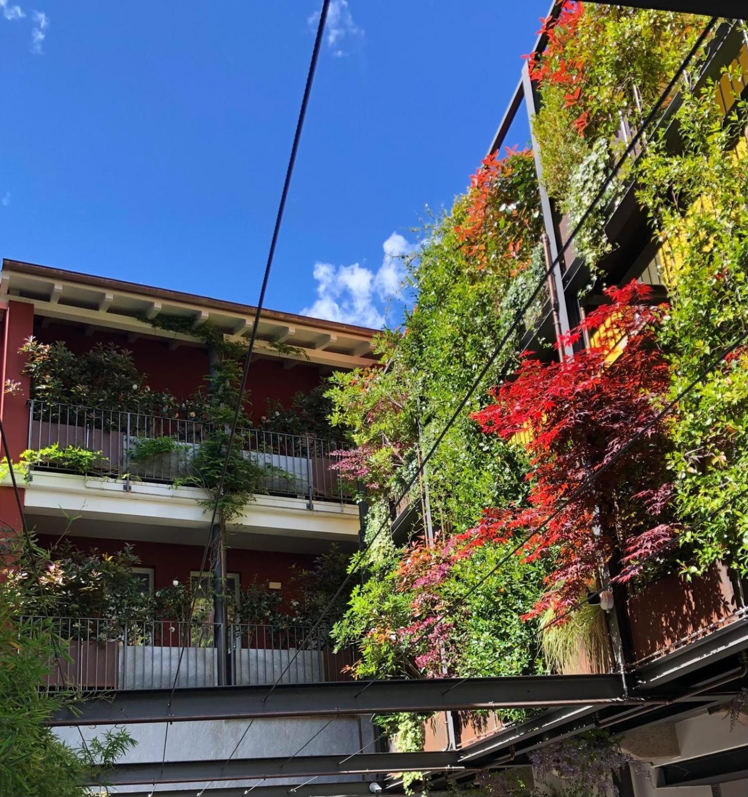 Residence Casa Coppa Appartamento Aster โอเมญา ภายนอก รูปภาพ