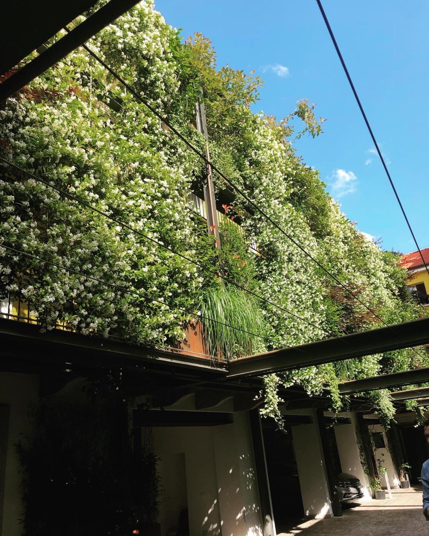 Residence Casa Coppa Appartamento Aster โอเมญา ภายนอก รูปภาพ